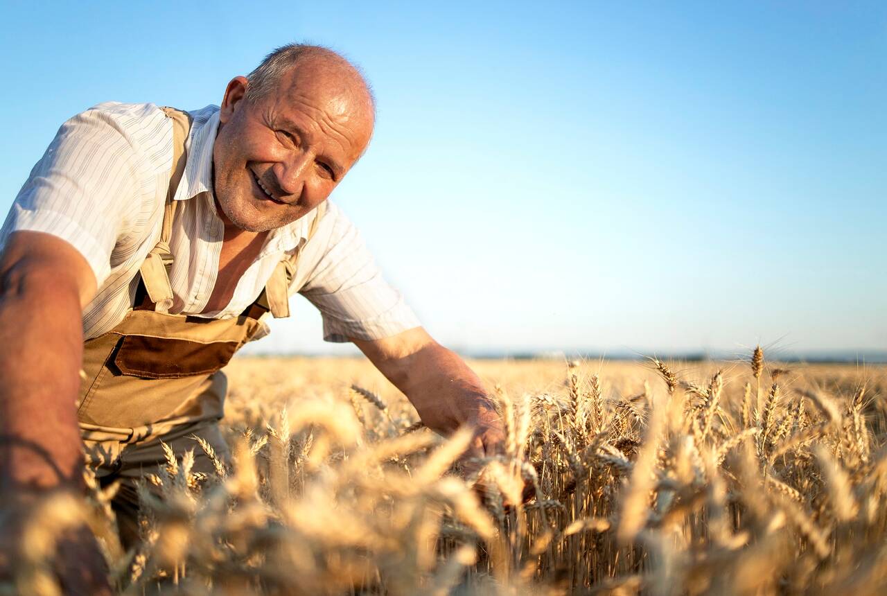 Na przykładowej fotografii widać starszego, zadowolonego mężczyznę na polu