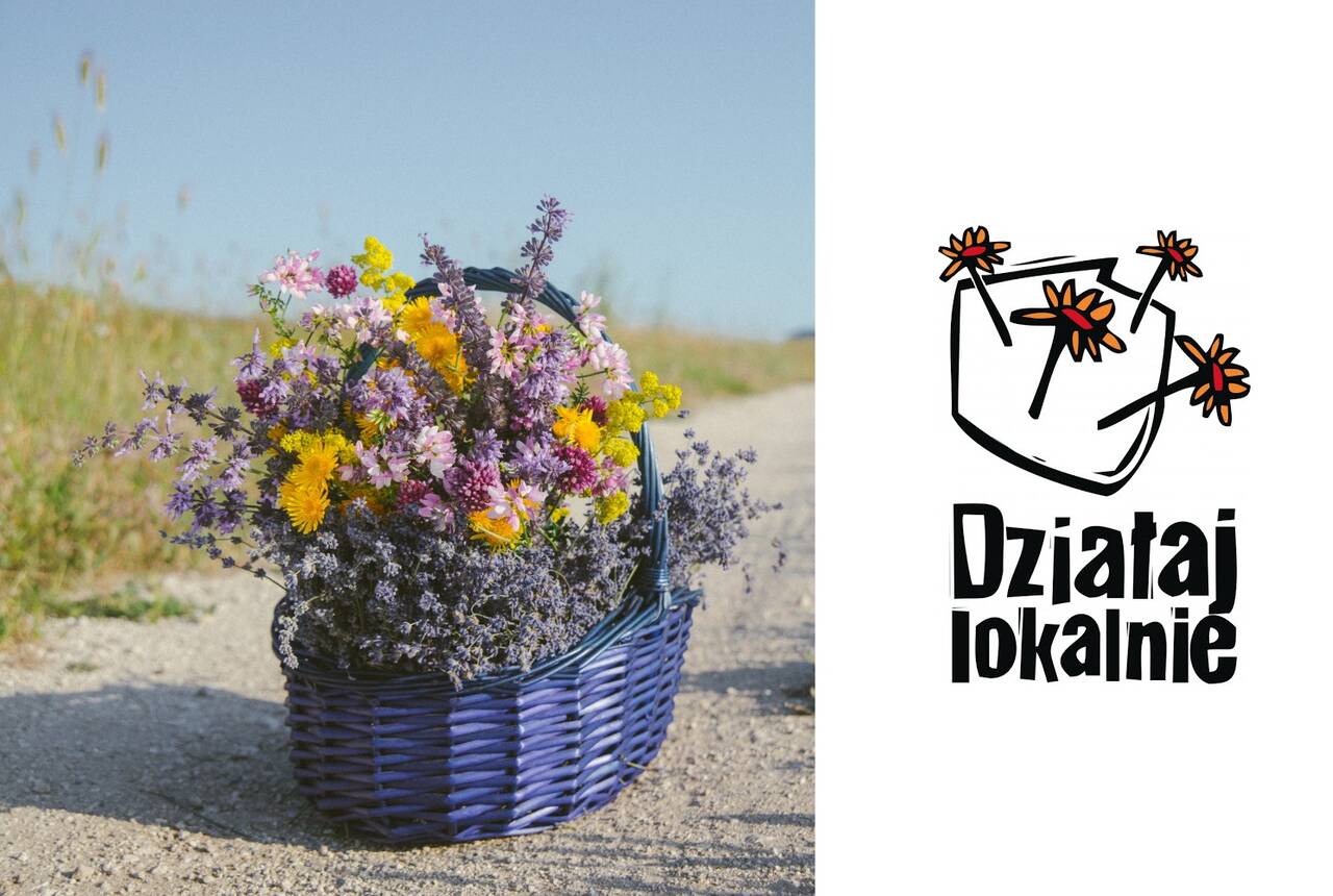 Na zdjęciu kosz z polnymi kwiatami 