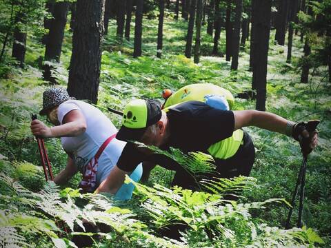 Nordic Walking po jagodowych wzgórzach - 21