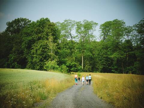 Nordic Walking po jagodowych wzgórzach - 5