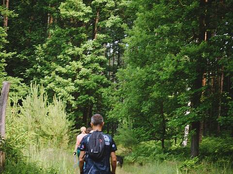 Nordic Walking po jagodowych wzgórzach - 18
