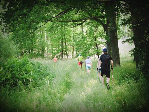 Nordic Walking po jagodowych wzgórzach - 17