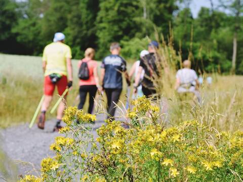 Nordic Walking po jagodowych wzgórzach - 8