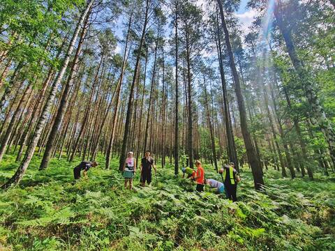 Nordic Walking po jagodowych wzgórzach - 48