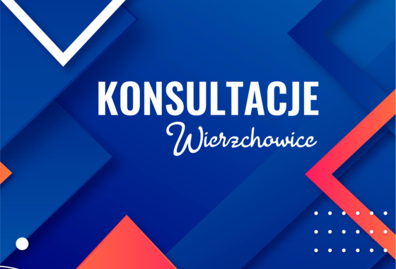 grafika tytułowa z napisem Konsultacje - Wierzchowice