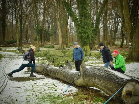 Zakończyliśmy zimową edycję spacerów nordic walking z instruktorem - 1