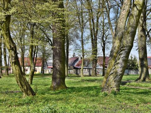 Sprzątali dla Polski - Przedszkolaki wzięły udział w ogólnopolskiej akcji - 35