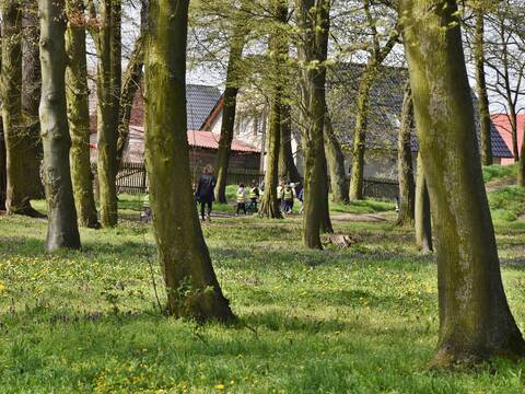 Sprzątali dla Polski - Przedszkolaki wzięły udział w ogólnopolskiej akcji - 31