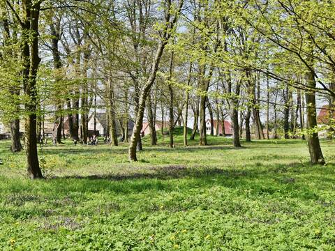 Sprzątali dla Polski - Przedszkolaki wzięły udział w ogólnopolskiej akcji - 33