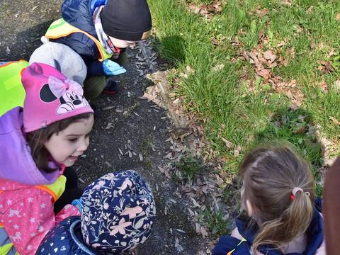 Sprzątali dla Polski - Przedszkolaki wzięły udział w ogólnopolskiej akcji - 11