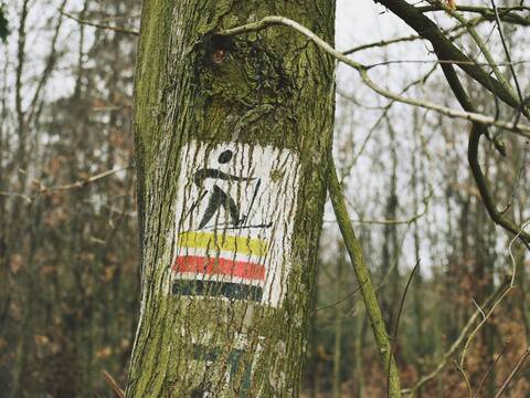 Zieloną pętlą po Nordic Park Dalków! - 40