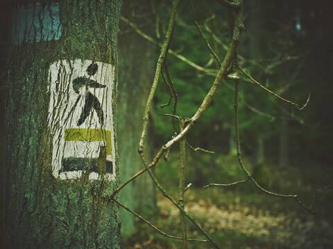 Zieloną pętlą po Nordic Park Dalków! - 42