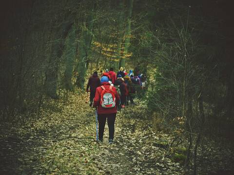 Zieloną pętlą po Nordic Park Dalków! - 4