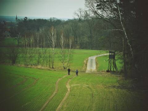 Zieloną pętlą po Nordic Park Dalków! - 2