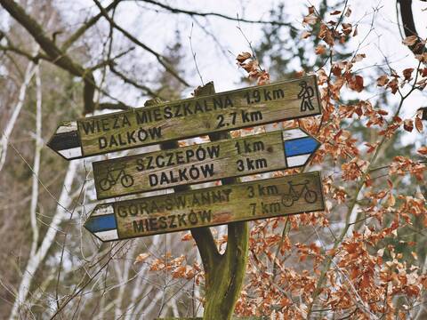 Zieloną pętlą po Nordic Park Dalków! - 24