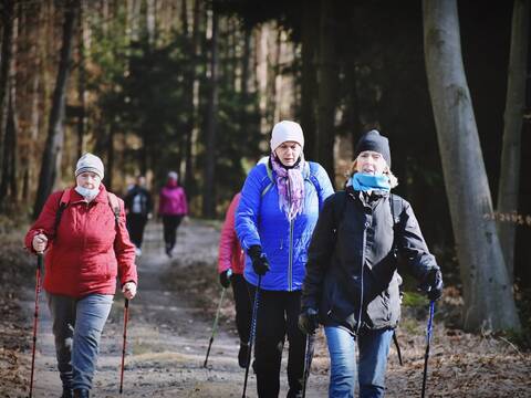 Dobrze, że las tak blisko nas! - 66