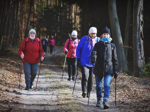 Dobrze, że las tak blisko nas! - 2