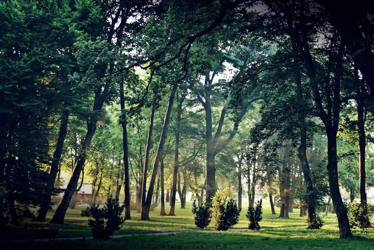 park w Gaworzycach