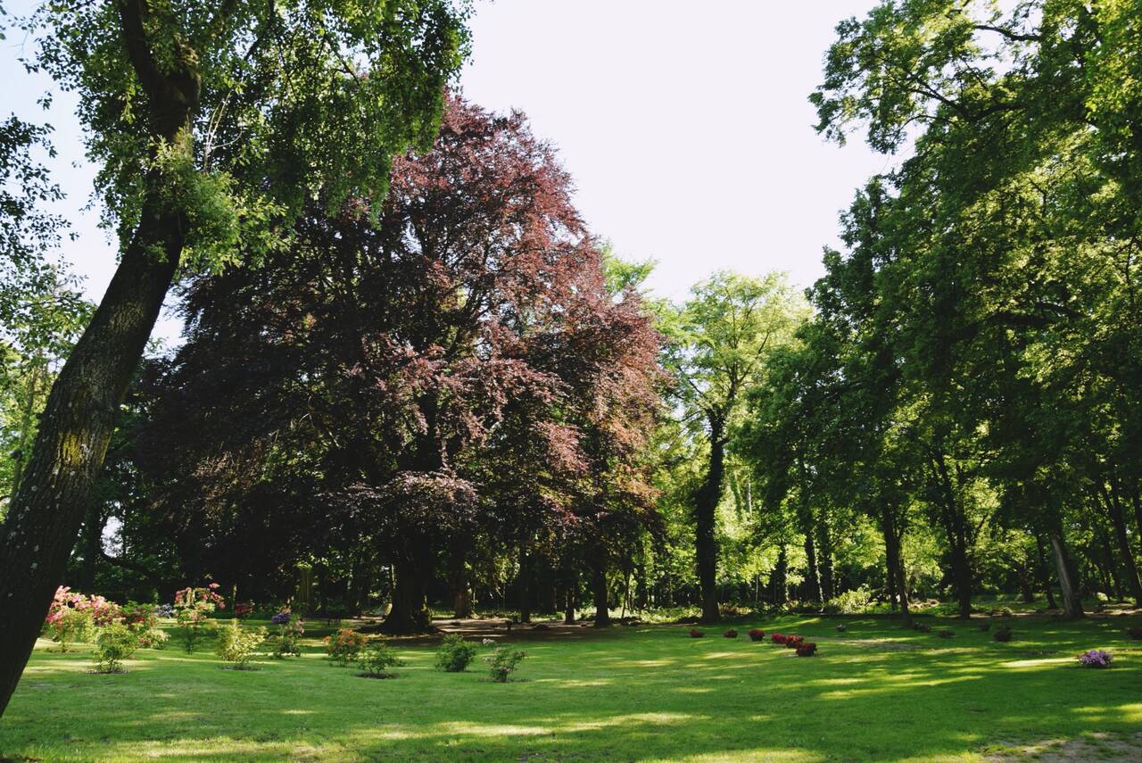 park zabytkowy w dalkowie