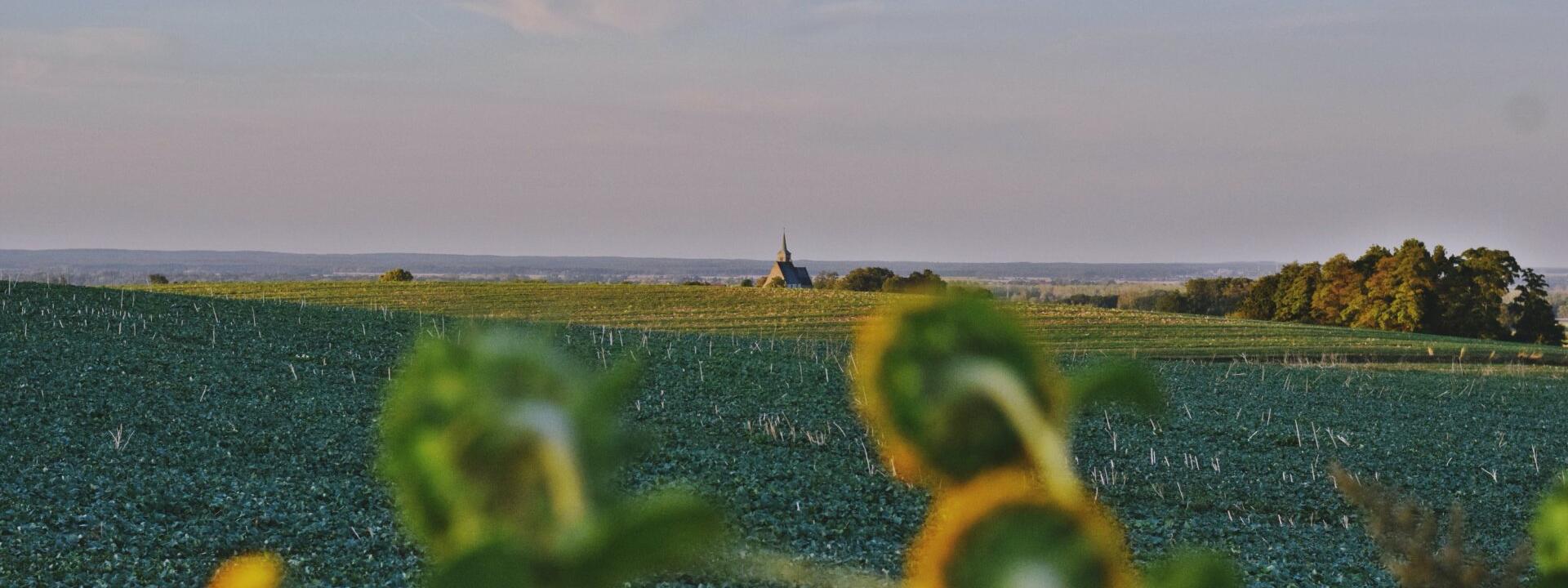 widok na kościół w Kurowie Wielkim