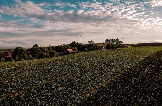 widok na miejscowość śrem