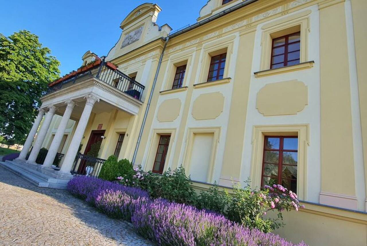 widok na pałac i kwitnącą lawendę