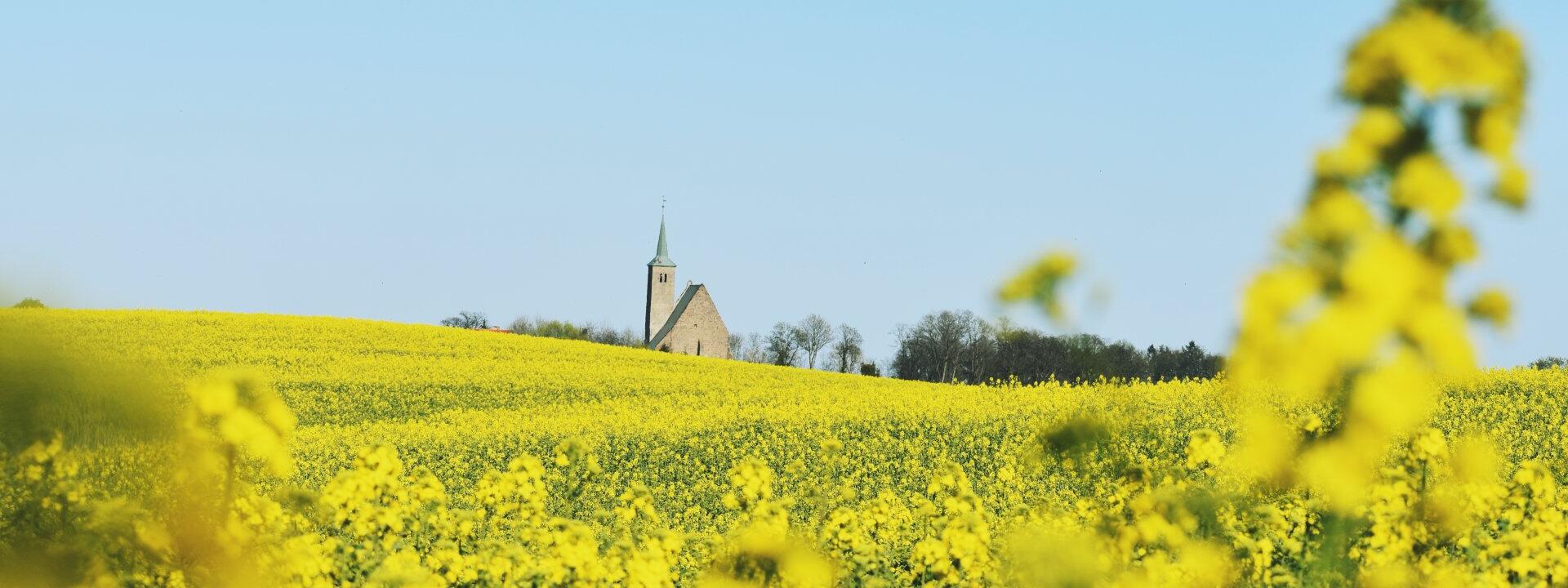 widok z daleka na kościół w kurowie
