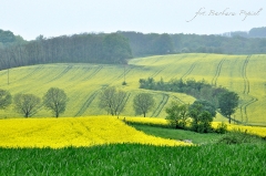 2013-05-17 Relacja z pleneru