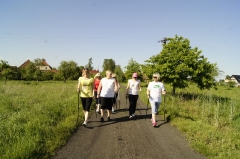 2014-05-21 Nordic walking w Kłobuczynie