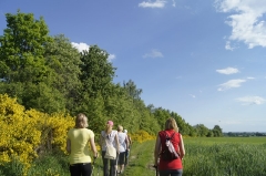 2014-05-21 Nordic walking w Kłobuczynie