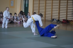 2014-05-23 JUDO 