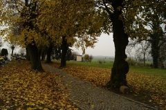 2014-11-18 Spacer z przewodnikiem po Gaworzycach