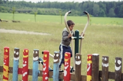2015-06-02 Niezwykły płot w Dzikowie