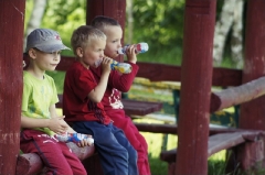 2015-06-03 Dzień Dziecka w Wierzchowicach