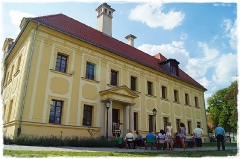 2015-08-03 Flamenco przed pałacem w Gaworzycach