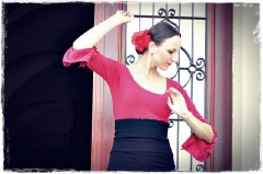 2015-08-03 Flamenco przed pałacem w Gaworzycach