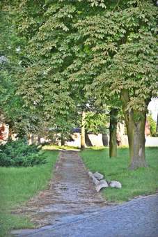 Czerwcowy poranek w Gaworzycach